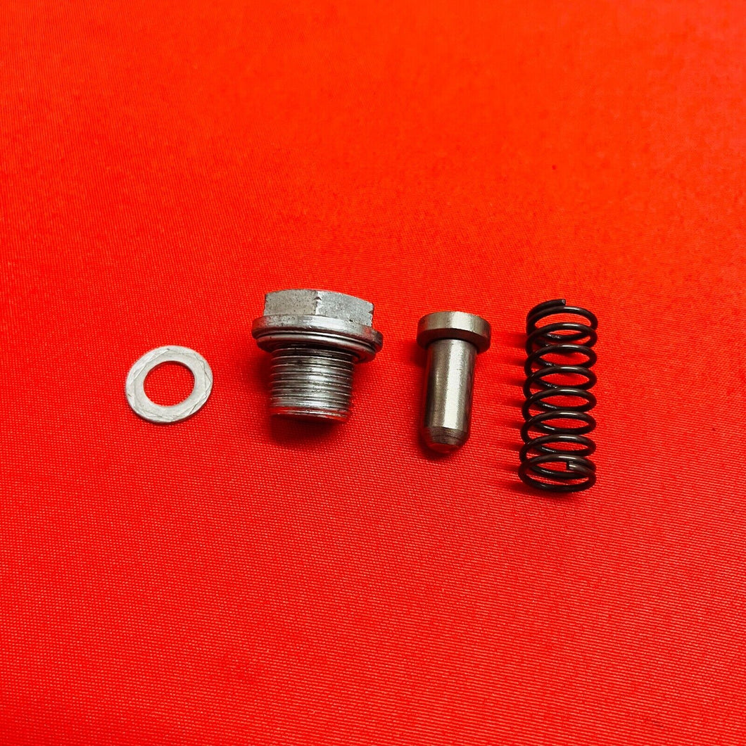 DRZ125 OIL BOLT SPRING PLUG OEM GENUINE SUZUKI DR-Z DRZ 125 L (2003-2019)