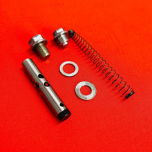 Load image into Gallery viewer, CRF70 OIL DRAIN BOLTS FILTER CYLINDER TENSIONER OEM GENUINE HONDA CRF 70 (04-12)