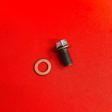 WR250F OIL DRAIN BOLT PLUG YAMAHA WR 250 F (03-13)