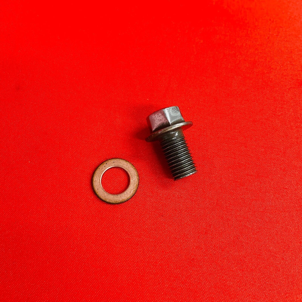 WR250F OIL DRAIN BOLT PLUG YAMAHA WR 250 F (03-13)