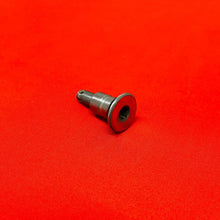 Load image into Gallery viewer, RMZ250 REAR BRAKE LEVER BOLT PEDAL MOUNT GENUINE OEM SUZUKI RMZ 250 (2007-2012)