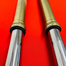 Load image into Gallery viewer, RMZ250 FORKS FRONT SHOCKS SUSPENSION GENUINE OEM SUZUKI RMZ 250 (2007-2009)