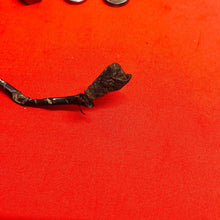 Load image into Gallery viewer, YAMAHA MX80 STATOR FLY WHEEL MAGNETO TESTED OEM GENUINE TY GT MX 80 (1974-1982)