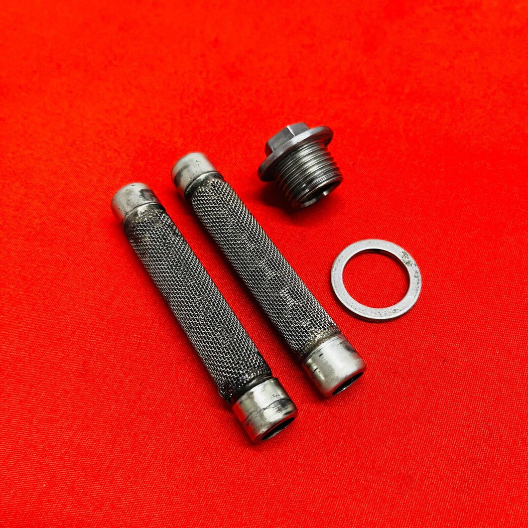 RMZ250 OIL FILTERS INNER ENGINE SCREEN GENUINE OEM SUZUKI RMZ 250 (2007-2009)