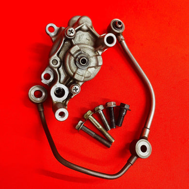 TRX250 ATC250 OIL PUMP COMPLETE OEM GENUINE HONDA TRX ATC 250 X