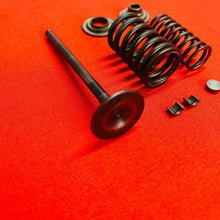 Load image into Gallery viewer, CRF250F INTAKE VALVE KIT SPRINGS KEEPERS OEM GENUINE HONDA CRF 250 F (2019-2025)